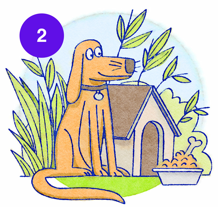 Ajurveda.pro, 2. korak