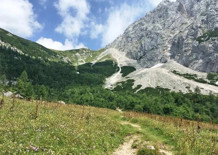 Resnično svobodni